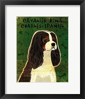 Cavalier King Charles (tri-color) Fine Art Print
