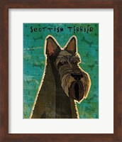 Scottish Terrier Fine Art Print
