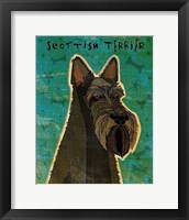 Scottish Terrier Framed Print