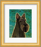 Scottish Terrier Fine Art Print