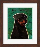 Rottweiler Fine Art Print