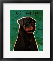 Rottweiler Framed Print