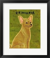 Chihuahua (tan) Fine Art Print