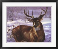 Through My Window- Whitetail Deer Fine Art Print