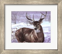 Through My Window- Whitetail Deer Fine Art Print