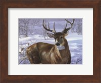 Through My Window- Whitetail Deer Fine Art Print