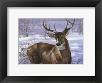 Through My Window- Whitetail Deer Fine Art Print