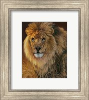 Power and Presence- African Lion Fine Art Print