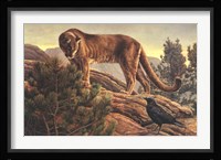 Curiosity Fine Art Print