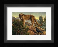 Curiosity Fine Art Print