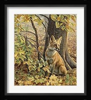 Eyes of Autumn Fine Art Print