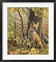 Eyes of Autumn Fine Art Print