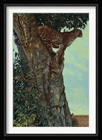 On the Lookout Fine Art Print