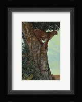 On the Lookout Fine Art Print