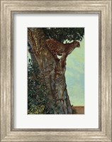 On the Lookout Fine Art Print