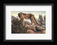 Curiosity Fine Art Print