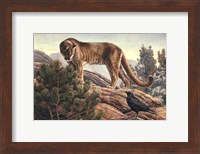 Curiosity Fine Art Print