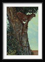 On the Lookout Fine Art Print