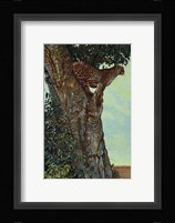 On the Lookout Fine Art Print