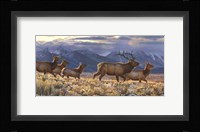 On the Run Fine Art Print