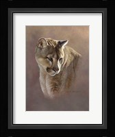 Watchful Eyes Fine Art Print