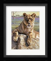 Serengeti Lioness Fine Art Print