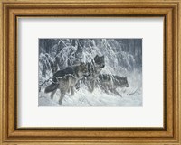 Edge of Winter (detail) Fine Art Print