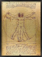 Vitruvian Man Fine Art Print