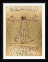 Vitruvian Man Fine Art Print