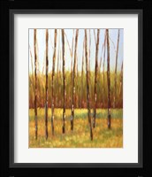 Tall Trees I (left) Fine Art Print