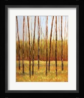 Tall Trees II (right) Fine Art Print