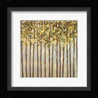 Different Shades of Green Fine Art Print