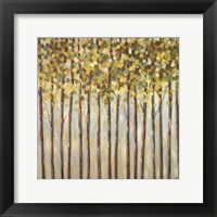 Different Shades of Green Fine Art Print
