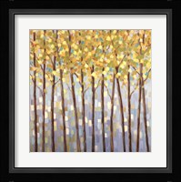 Glistening Tree Tops Fine Art Print
