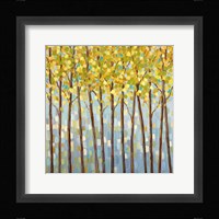 Glistening Tree Tops Fine Art Print
