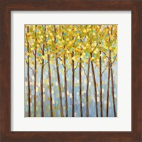 Glistening Tree Tops Fine Art Print