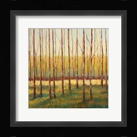 Grove of Trees Fine Art Print