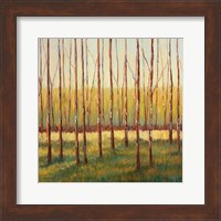 Grove of Trees Fine Art Print