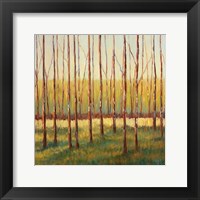 Grove of Trees Fine Art Print