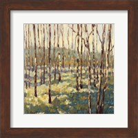 Trees in Blue Green Fine Art Print