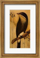 Bird I Fine Art Print