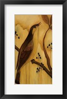 Bird IV Fine Art Print