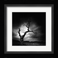 The Last Tree Fine Art Print