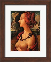 Portrait of Simonetta Vespucci,  c. 1480 Fine Art Print