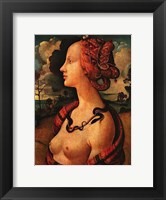 Portrait of Simonetta Vespucci,  c. 1480 Fine Art Print