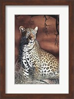 Sitting Leopard Fine Art Print