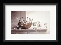 Spring Blossoms Fine Art Print