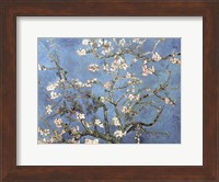 Almond Blossom, 1890 Fine Art Print