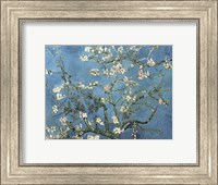Almond Blossom, 1890 Fine Art Print