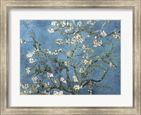 Almond Blossom, 1890 Fine Art Print